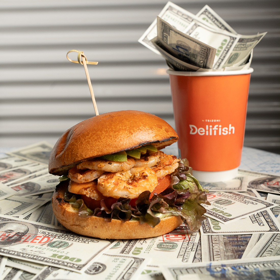 fl-delifish-portfolio-3